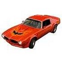 FIREBIRD CAR COVER 1970-1981