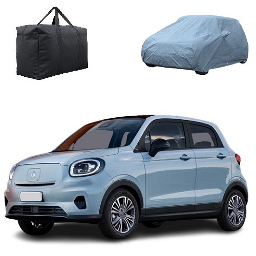 LEAPMOTOR T03 CAR COVER 2020 ONWARDS